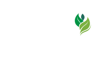 Vitaliza-T